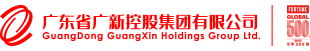 廣東省廣新控股集團有限公司